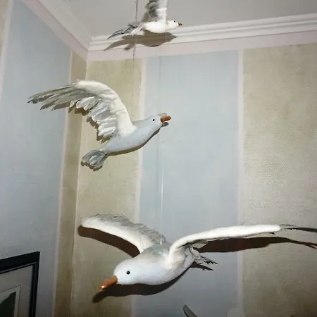 Strandvilla Seeadler Appartement *